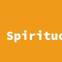 Spirituosen